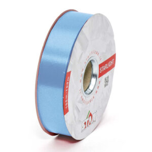 NASTRO MM.31 LISCIO MT.100 col.-14 (Cod. 1018-13)