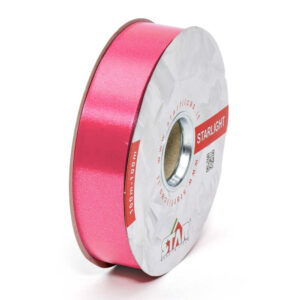 NASTRO MM.31 LISCIO MT.100 col.-29 (Cod. 1018-27)