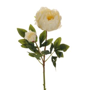 PEONIA RAMO X2 1 FIORE E 1 BOCCIOLO APERTO 66CM crema (Cod. 25470-05)