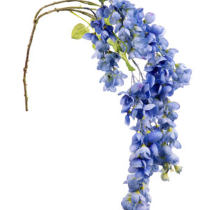 GLICINE X6 CM.100 blu (Cod. 31650-02)