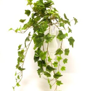 BUSH EDERA REAL TOUCH X 144FG. CM.71 verde (Cod. 26271-01)