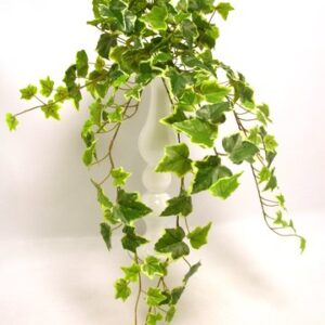 BUSH EDERA REAL TOUCH X 144FG. CM.71 variegato (Cod. 26271-02)