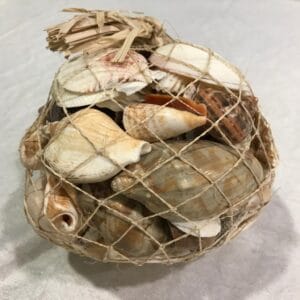 ABACA NET CONCHIGLIE MIX KG 0,5  (Cod. 23928-01)