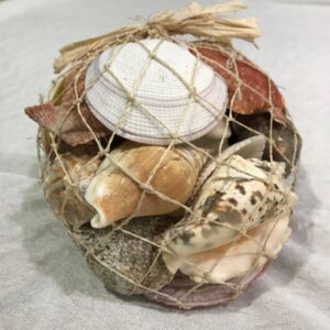 ABACA NET CONCHIGLIE MIX KG 1  (Cod. 23929-01)