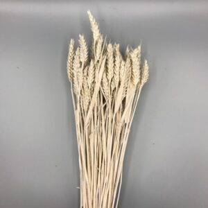 GRANETTO TRITICUM COLORATO GR.200 bianco (Cod. 7203-03)