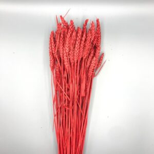 GRANETTO TRITICUM COLORATO GR.200 rosso (Cod. 7203-08)