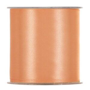 NASTRO DOPPIO RASO MAXI MM100 25MT  salmone (Cod. 28727-02)