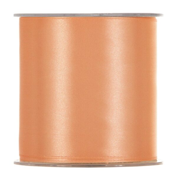 NASTRO DOPPIO RASO MAXI MM100 25MT  salmone (Cod. 28727-02)