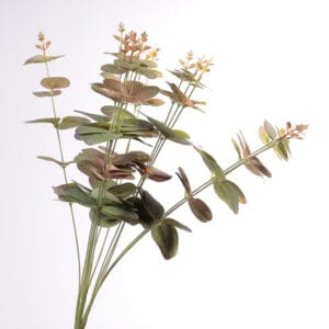 MAZZO EUCALIPTUS 46 CM rosso-verde (Cod. 31999-04)