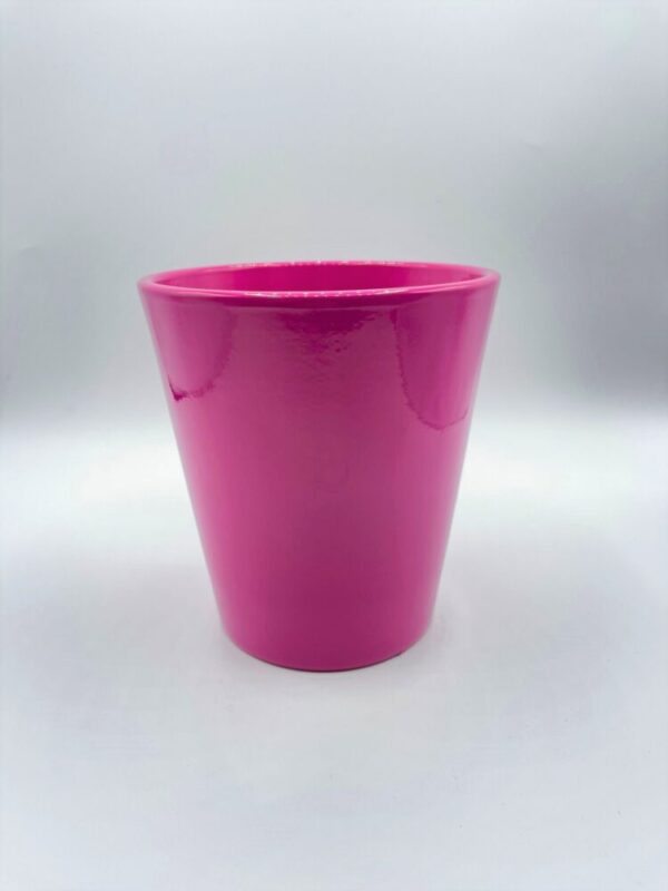 SET 8 CASPO' ORCHIDEA D13 H15 fucsia-lucido (Cod. 28807-03)
