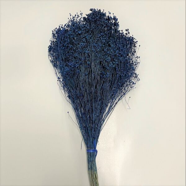 BROOM BLOOM COL. MAZZO GR.100 blu-zaffiro (Cod. 6013-10)