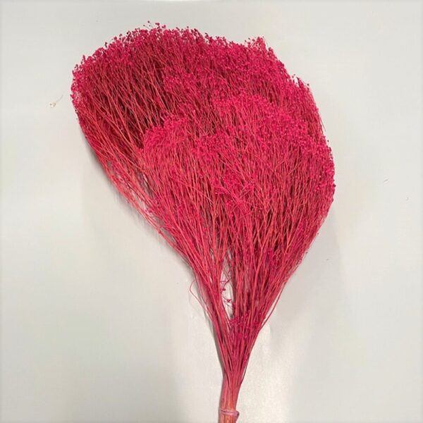BROOM BLOOM COL. MAZZO GR.100 ciclamino-fucsia (Cod. 6013-08)