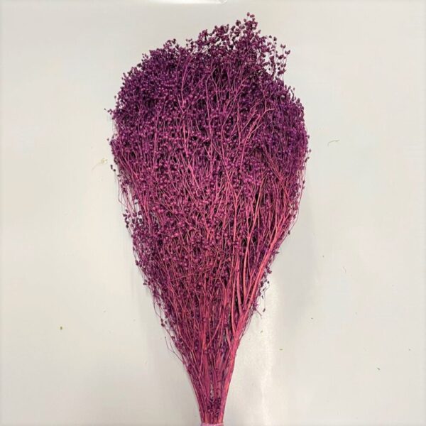 BROOM BLOOM COL. MAZZO GR.100 erika (Cod. 6013-11)