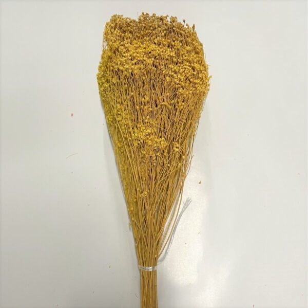 BROOM BLOOM COL. MAZZO GR.100 giallo-spento (Cod. 6013-12)