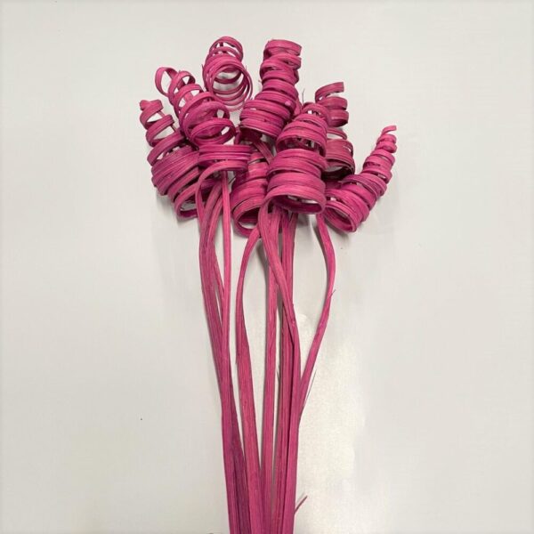CANE CONE COLORATO PZ.10 ciclamino (Cod. 2732-03)