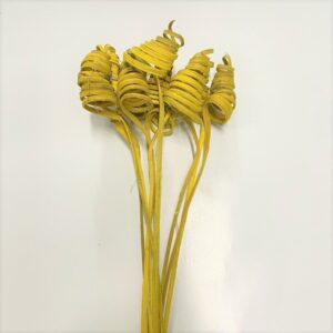 CANE CONE COLORATO PZ.10 giallo (Cod. 2732-04)