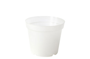 VASO ORCHIDEA SEMITRASP. PER TRAVASO D15   (Cod. 28120-01)