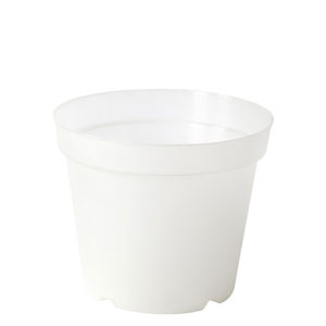VASO ORCHIDEA SEMITRASP. PER TRAVASO D15   (Cod. 28120-01)