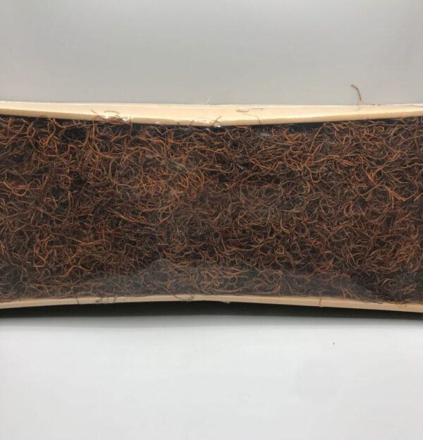 TILLANDSIA IN BLISTER GR.250 color-terracotta (Cod. 3316-01)