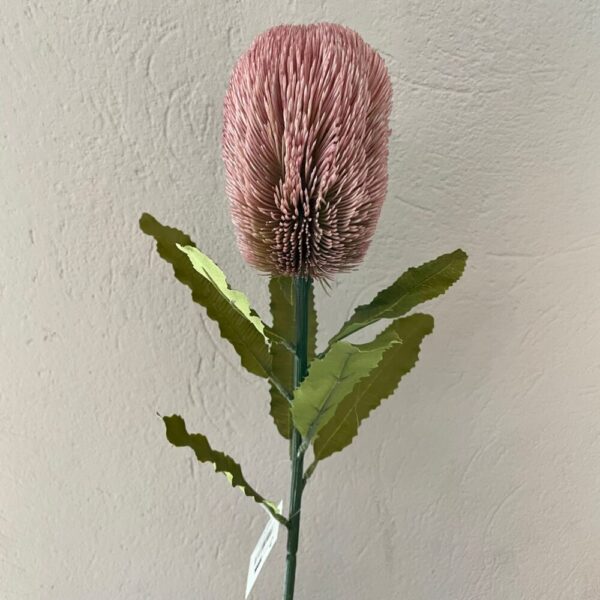 SAFARI BANKSIA 60CM malva (Cod. 30449-01)