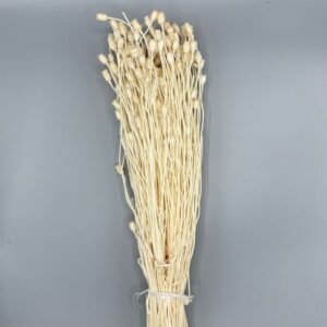 PAPAVERINO GR. 100 IN BUSTA SBIANCATO  (Cod. 32395-01)