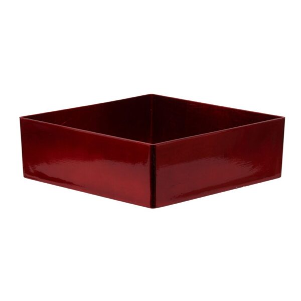 CONTENITORE PLASTICA QUADR. 20X20X6 CM rosso (Cod. 28915-01)