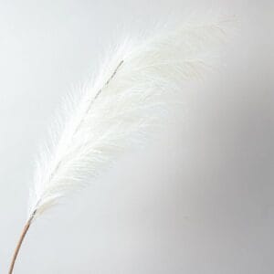 RAMO PAMPAS X18 CM130 crema (Cod. 32345-03)