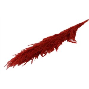 X5 RAMI PAMPAS GIGANTE H210 CM rosso (Cod. 32314-03)