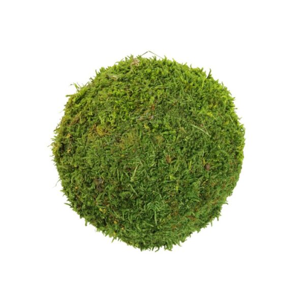 PALLA DI MUSCHIO NATURALE D20CM  (Cod. 32156-01)