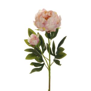 PEONIA RAMO X2 1 FIORE E 1 BOCCIOLO APERTO 66CM rosa-crema (Cod. 25470-03)