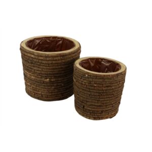 SET 2 VASI IN VITE KOMODO diam.19 diam.14  (Cod. 32310-01)