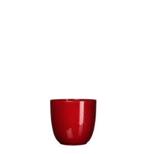 VASO TUSCA H9 D10 CM PER VASO D9 CM rosso (Cod. 32668-04)
