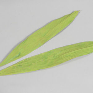 50 PZ. FOGLIE BAMBOO  (Cod. 26864-01)
