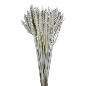 GRANETTO TRITICUM BUSTA GR.120 COLORATO bianco (Cod. 32503-01)