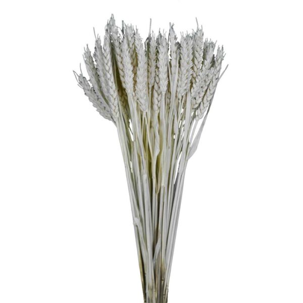 GRANETTO TRITICUM BUSTA GR.120 COLORATO bianco (Cod. 32503-01)