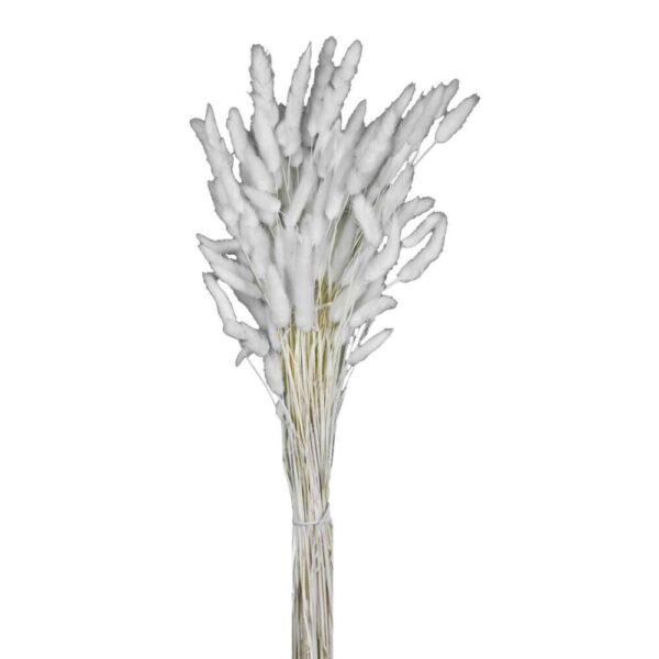 LAGURUS TOPINI GR.100 bianco (Cod. 32442-03)