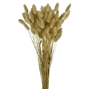 LAGURUS TOPINI GR.100 naturale (Cod. 32442-17)