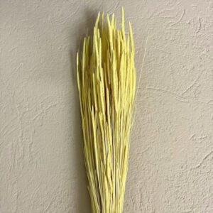 CODE DI TOPO PLEUM GR.100 COLORATO giallo-pastello (Cod. 6018-02)