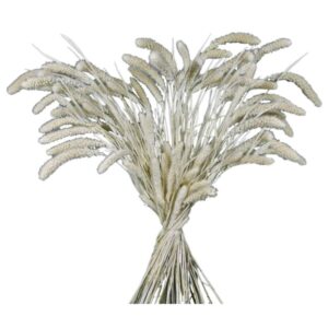 SETARIA GR.100 bianco (Cod. 7223-01)