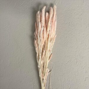 SETARIA GR.100 rosa-pastello (Cod. 7223-05)