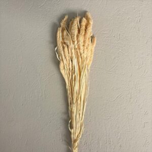 SETARIA GR.100 salmone-pastello (Cod. 7223-06)