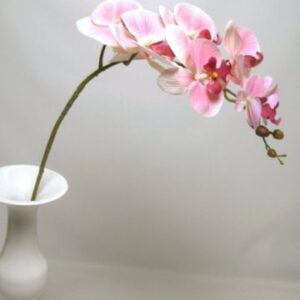 RAMO PHALENOPSIS 72CM rosa (Cod. 30478-01)