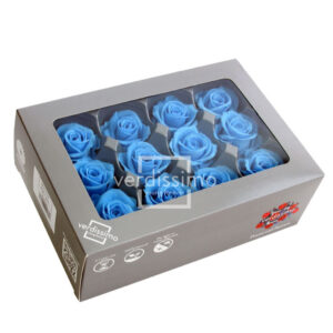 TESTE DI ROSA DIAM 3,5-4,5 MINI STABILIZZ. PZ 12 azzurro (Cod. 8331-13)