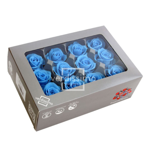 TESTE DI ROSA DIAM 3,5-4,5 MINI STABILIZZ. PZ 12 azzurro (Cod. 8331-13)