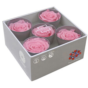 ROSE QUEEN W-BOX 5PZ (DIAM. TRA 6,3 E 7,3 CM) rosa-pastello (Cod. 31218-05)
