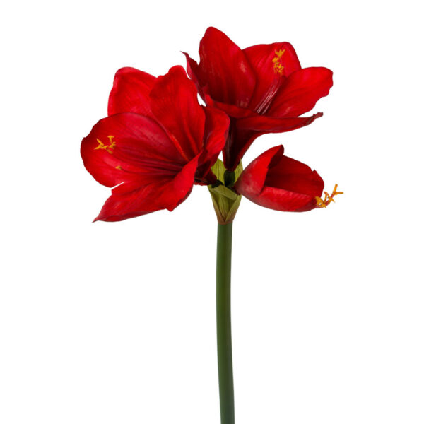AMARYLLIS 68 CM rosso (Cod. 30605-01)