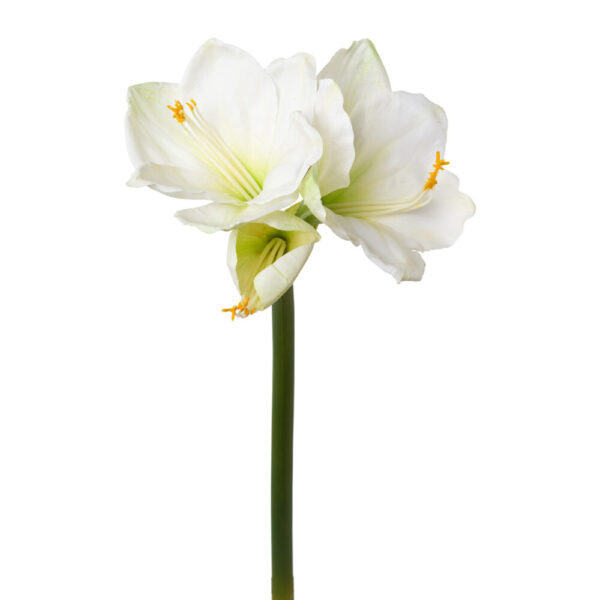 AMARYLLIS 68 CM bianco (Cod. 30605-03)