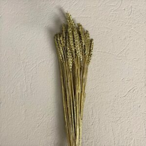 TRITICUM GLITTER GR.140/150 oro (Cod. 3507-02)