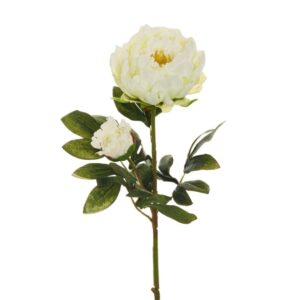 PEONIA RAMO X2 1 FIORE E 1 BOCCIOLO APERTO 66CM bianco (Cod. 25470-04)