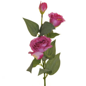LISIANTHUS STEM X2 CM70 CON BOCCIOLO malva (Cod. 25697-10)